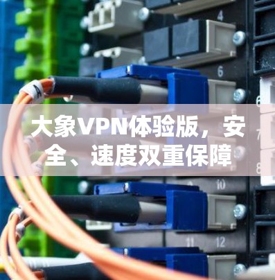 大象VPN体验版，安全、速度双重保障的通信解决方案