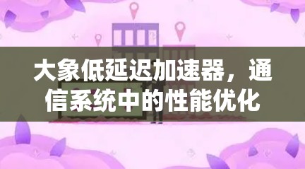 大象低延迟加速器，通信系统中的性能优化解决方案