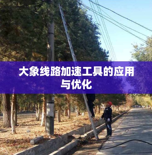 大象线路加速工具的应用与优化