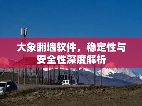 大象翻墙软件，稳定性与安全性深度解析