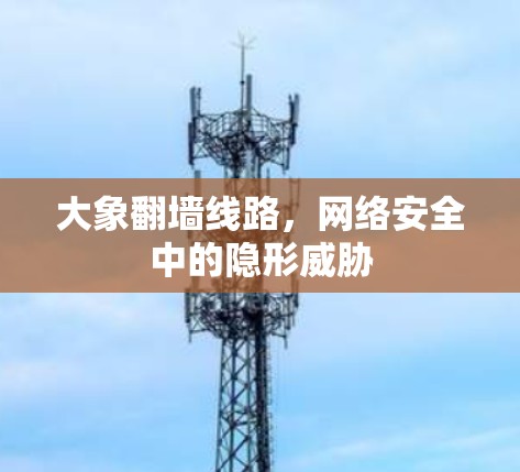 大象翻墙线路，网络安全中的隐形威胁