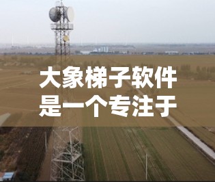 大象梯子软件是一个专注于自动化测试和持续集成的开源工具，旨在帮助开发团队更高效地管理和执行自动化测试用例。以下是对该软件的详细介绍