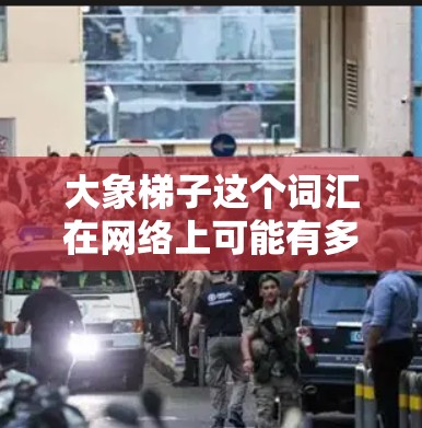 大象梯子这个词汇在网络上可能有多种含义，具体取决于上下文。以下是一些可能的解释和相关推荐