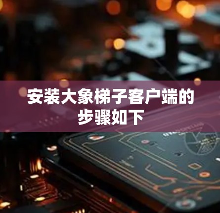 安装大象梯子客户端的步骤如下