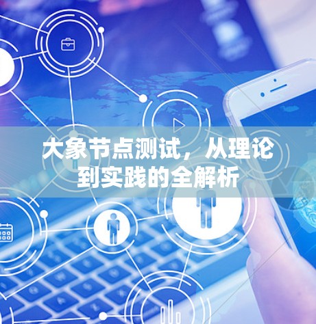 大象节点测试，从理论到实践的全解析