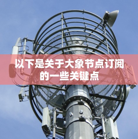 以下是关于大象节点订阅的一些关键点