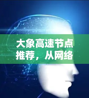 大象高速节点推荐，从网络架构到智能化管理