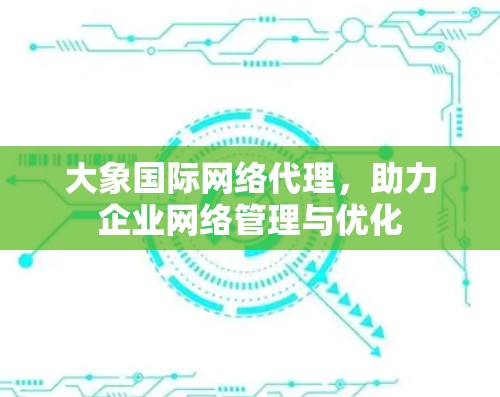 大象国际网络代理，助力企业网络管理与优化