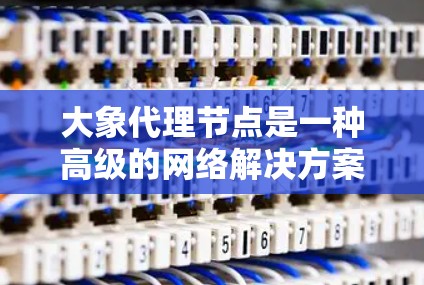 大象代理节点是一种高级的网络解决方案，主要用于数据传输和保护，适用于需要高度安全和隐私的场景。以下是对其功能的详细分析