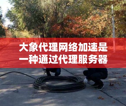 大象代理网络加速是一种通过代理服务器实现网络数据传输加速的技术，主要通过缓存、压缩、智能路由等手段来优化数据传输速度和效率。以下是对此技术的详细分析和总结