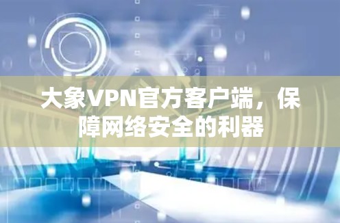 大象VPN官方客户端，保障网络安全的利器