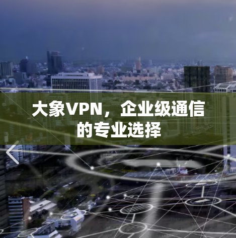 大象VPN，企业级通信的专业选择