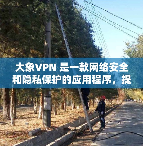 大象VPN 是一款网络安全和隐私保护的应用程序，提供多种功能，包括匿名浏览、加密通信等。然而，关于大象VPN正版客户端的具体信息，可能需要从以下几个方面进行了解和确认