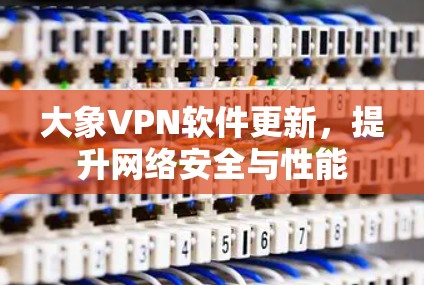 大象VPN软件更新，提升网络安全与性能