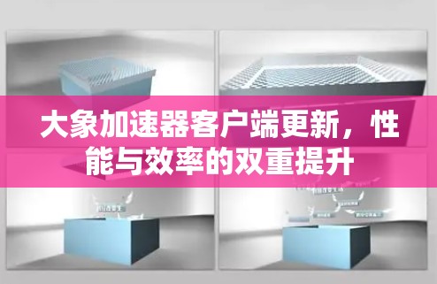大象加速器客户端更新，性能与效率的双重提升