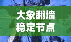 大象翻墙稳定节点，通信工程中的关键技术解析