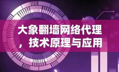 大象翻墙网络代理，技术原理与应用分析