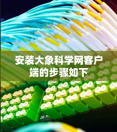 安装大象科学网客户端的步骤如下