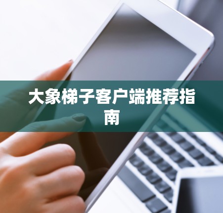 大象梯子客户端推荐指南