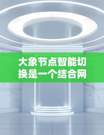 大象节点智能切换是一个结合网络智能化和自动化管理的技术，旨在优化网络性能和稳定性。以下是对大象节点智能切换的详细解析