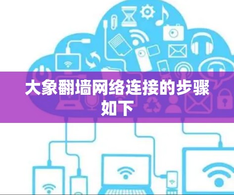 大象翻墙网络连接的步骤如下