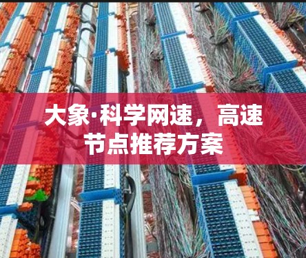 大象·科学网速，高速节点推荐方案