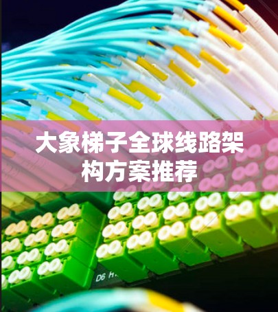 大象梯子全球线路架构方案推荐
