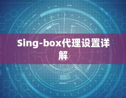 Sing-box代理设置详解