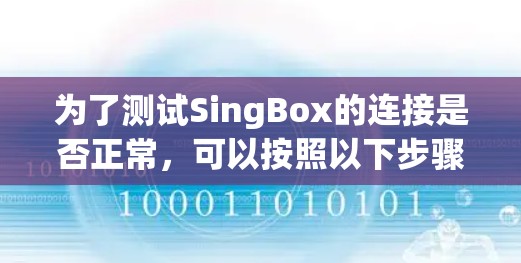 为了测试SingBox的连接是否正常，可以按照以下步骤进行检查