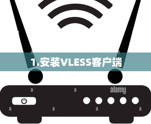 1.安装VLESS客户端