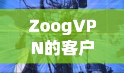 ZoogVPN的客户端下载地址可以通过其官方网站或应用商店获取。以下是主要平台的下载链接