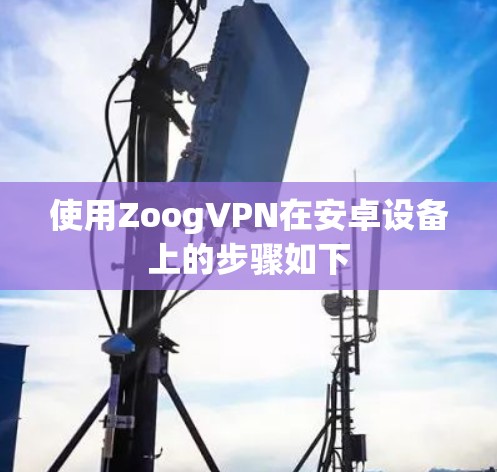 使用ZoogVPN在安卓设备上的步骤如下