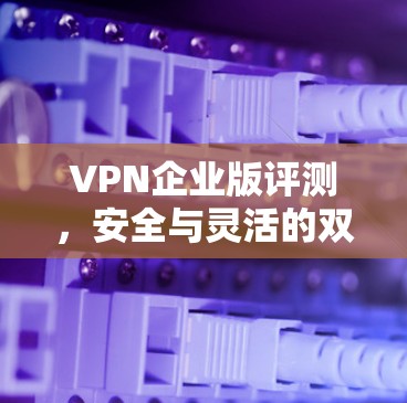 VPN企业版评测，安全与灵活的双重保障