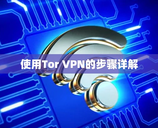 使用Tor VPN的步骤详解
