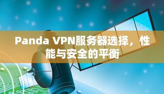 Panda VPN服务器选择，性能与安全的平衡