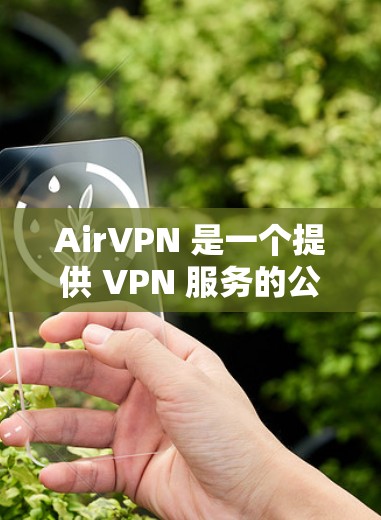 AirVPN 是一个提供 VPN 服务的公司，其主要功能是为用户提供匿名和安全的互联网连接。关于 AirVPN 的速度检测，你可以通过以下步骤来测试其速度