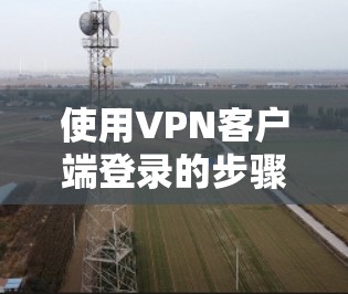使用VPN客户端登录的步骤如下
