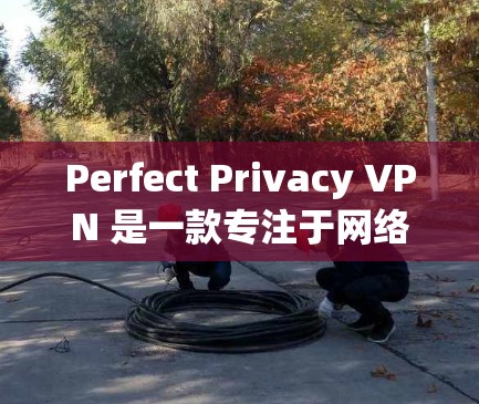 Perfect Privacy VPN 是一款专注于网络隐私和安全的虚拟专用网络（VPN）软件，旨在帮助用户保护隐私、避免网络监控和数据泄露。以下是关于其电脑版的一些关键信息和常见问题的解答