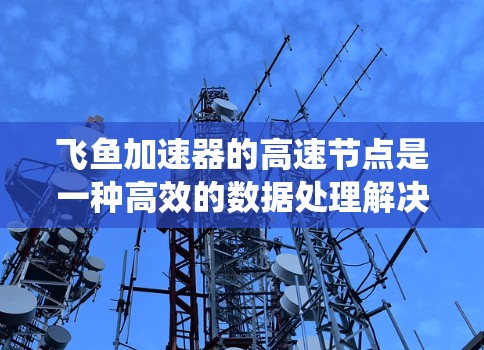 飞鱼加速器的高速节点是一种高效的数据处理解决方案，广泛应用于多个领域，以提升数据处理速度和系统性能。以下是对飞鱼加速器高速节点的详细分析和总结