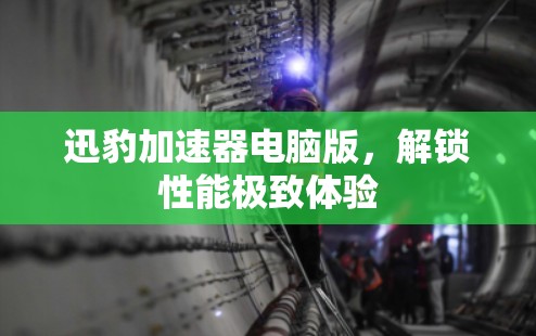 迅豹加速器电脑版，解锁性能极致体验