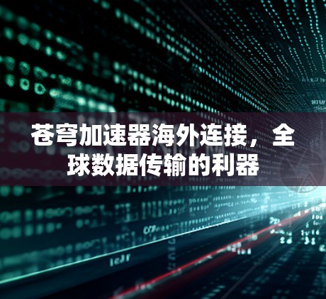 苍穹加速器海外连接，全球数据传输的利器