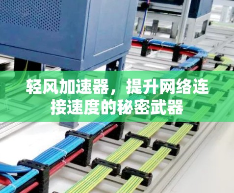轻风加速器，提升网络连接速度的秘密武器