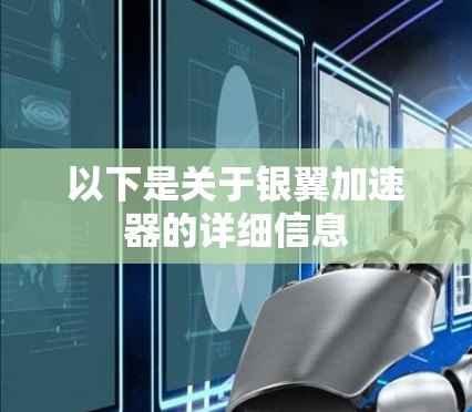 以下是关于银翼加速器的详细信息