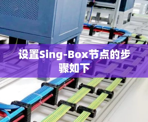 设置Sing-Box节点的步骤如下