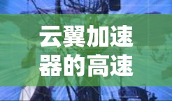 云翼加速器的高速线路是其核心组件之一，旨在通过优化数据传输性能，显著提升云计算环境的效率。以下是对云翼加速器高速线路的详细分析