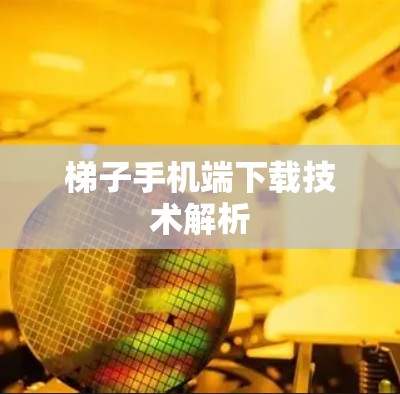 梯子手机端下载技术解析