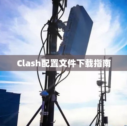 Clash配置文件下载指南