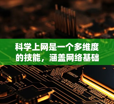 科学上网是一个多维度的技能，涵盖网络基础、工具使用、数据处理、安全保护等多个方面。以下是一个有条理的学习和实践计划，帮助您系统地掌握科学上网的知识和技能