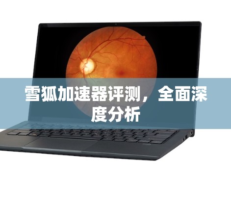 雪狐加速器评测，全面深度分析