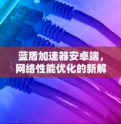 蓝盾加速器安卓端，网络性能优化的新解决方案